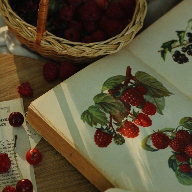 Rustic Berry Harvest: Handpicked Delights